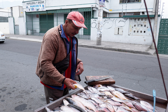 MI BARRIO - MY NEIGHBOURHOOD